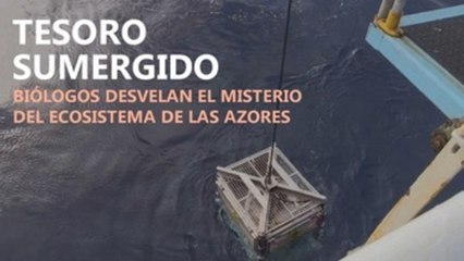 El tesoro sumergido de las Azores