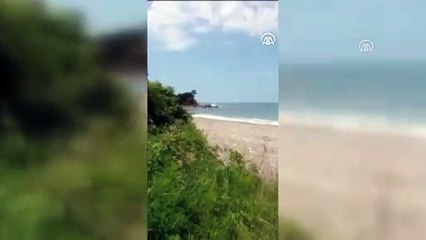 Deniz mayını tetikleyicisinin imha edilme anı - DÜZCE