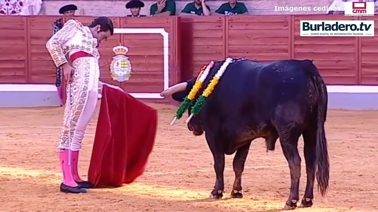 Alfarero Plata 2019