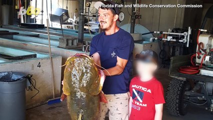 Reel Big Fish! Florida Man Sets State Record For Largest Flathead Catfish!