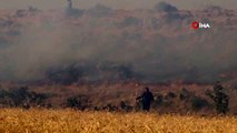 Buğday ekili tarlalarda çıkan yangında çiftçilerin 2 yıllık emeği kül oldu