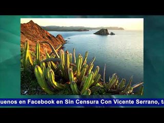 MÁS BIEN SON PRIISTAS A DOMICILIO