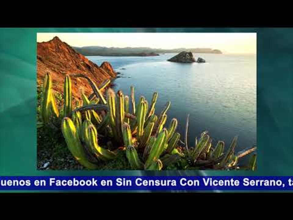 MÁS BIEN SON PRIISTAS A DOMICILIO