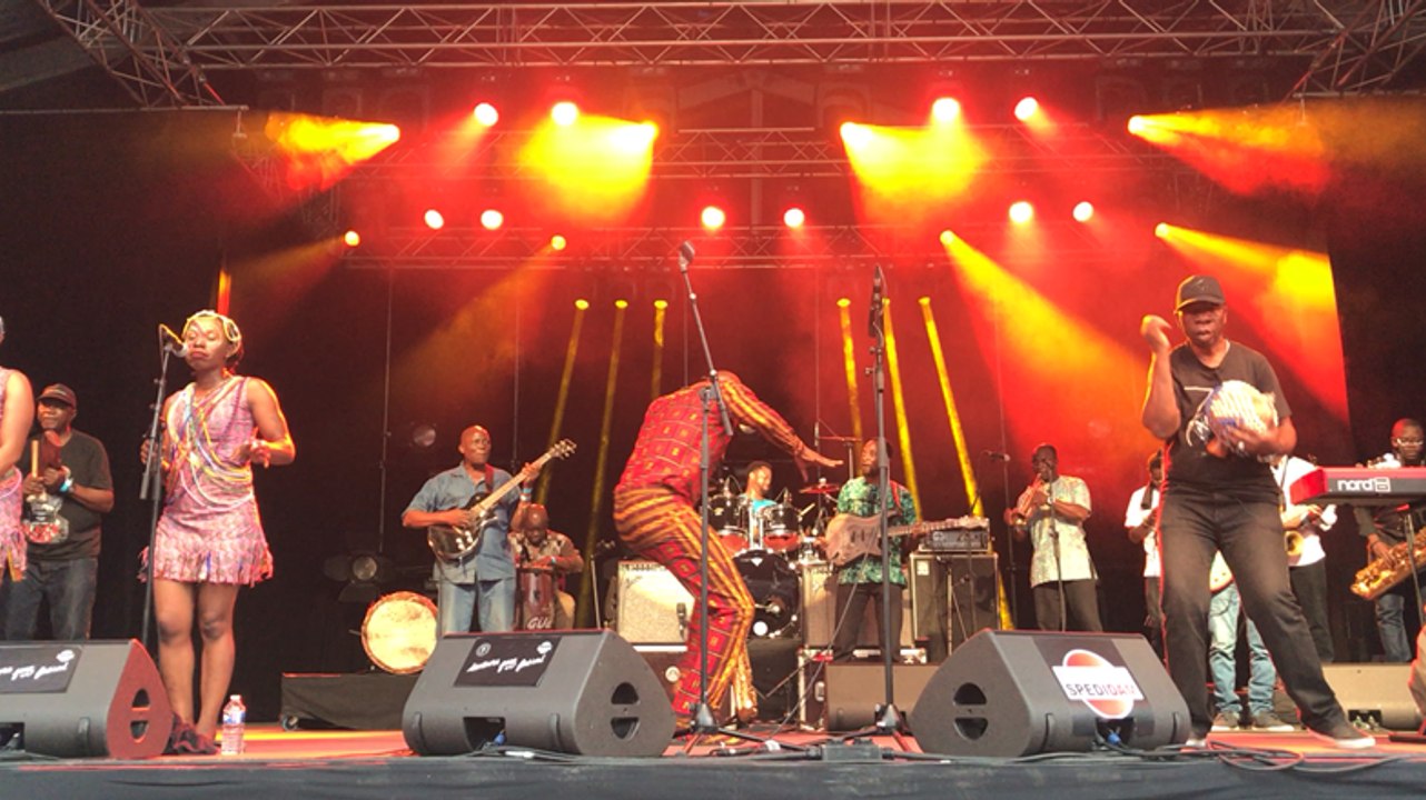 Concert Seun Kuti & Egypt 80