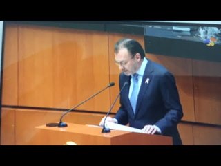 LUIS VIDEGARAY EN SENADO