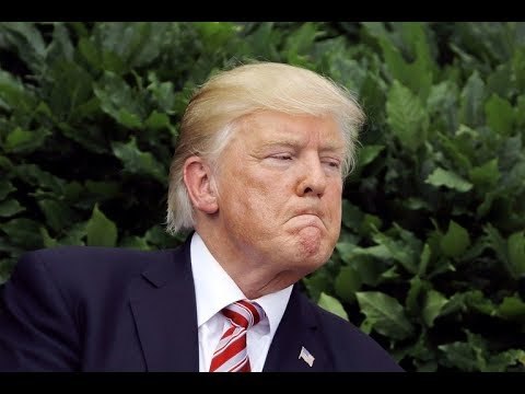 QUE TRUMP QUIERA QUITAR CIUDADANÍA A NACIDOS EN EE. UU. ES UNA BOMBA: DRA. CALDERÓN CHELIUS