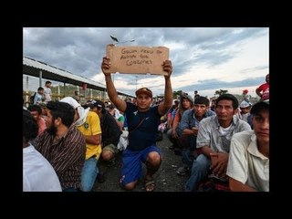 INMIGRANTES GRITAN: ¡GRACIAS MÉXICO!