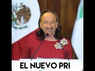 EL NUEVO, NUEVO, NUEVO PRI ES EL MISMO NIDO DE RATOTOTAS