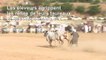 Des villageois pakistanais en quête de vitesse lors d'une course de taureaux traditionnelle