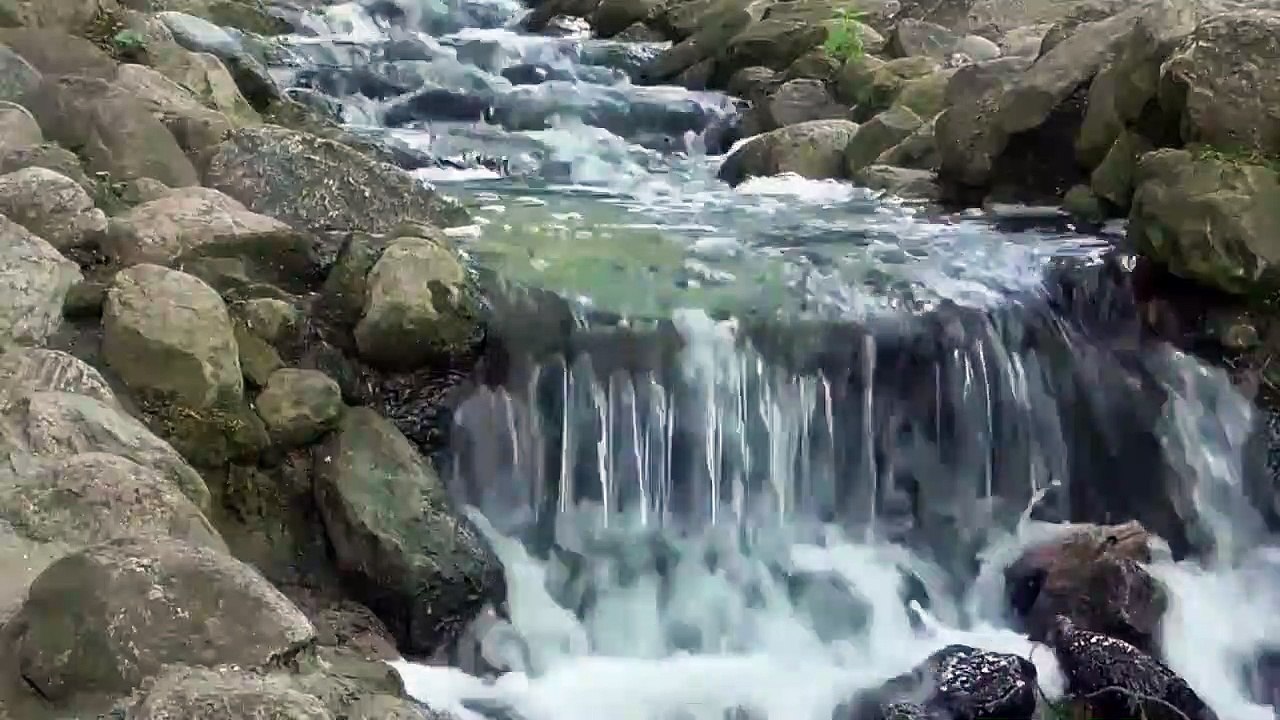 Relaxing Stream