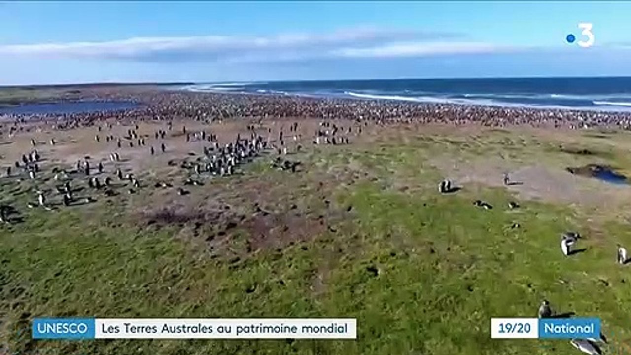 Terres australes : désormais au patrimoine mondial de l'Unesco
