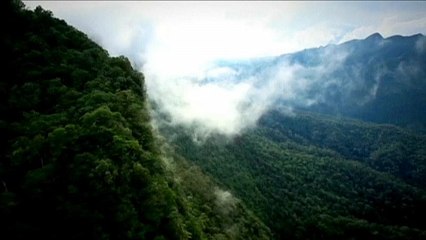 Un "polmone verde" contro i cambiamenti climatici