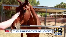 Nick's Heroes: Healing through horses