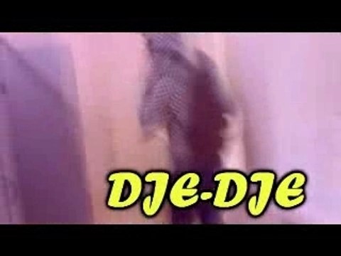 Djé-djé