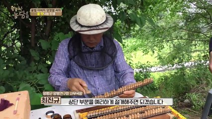 여왕벌 음식 ★로열젤리 채취★ 50g에 6~7만 원