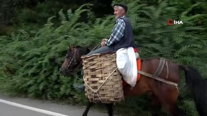 82'lik dededen atlı organik sebze servisi