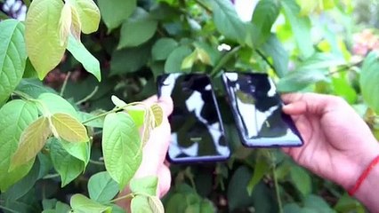 Redmi_k20_Camera_Vs_Redmi_Note_7_Pro_Camera