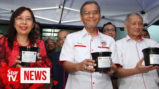 Health Ministry recruits Wolbachia-infected mosquitoes in fight against dengue
