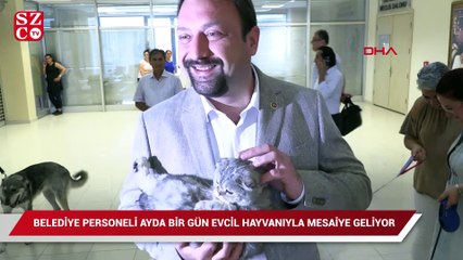 Belediye personeli ayda bir gün evcil hayvanıyla mesaiye geliyor