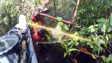 paradise for catfish fishing on the island of Kalimantan Indonesia