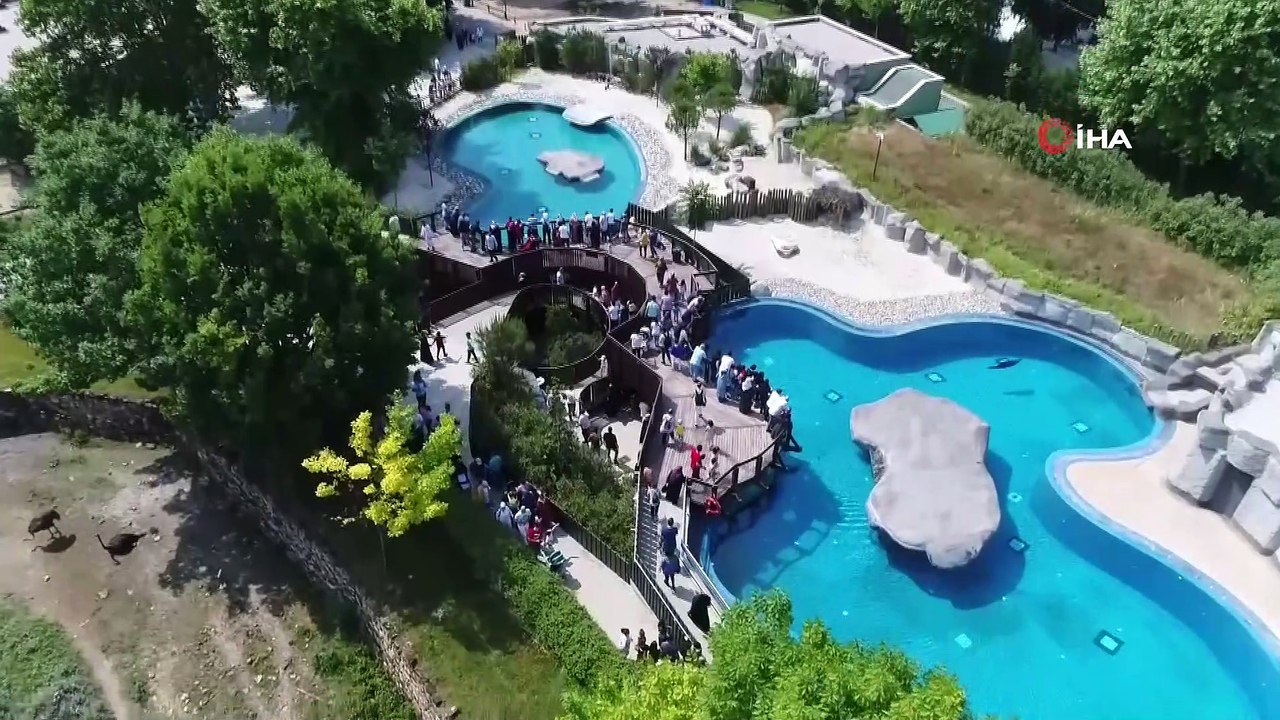 Yavru zebralara büyük ilgi...Bursa Hayvanat Bahçesi havadan görüntülendi