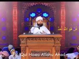 Muhammad Raza Saqib Mustafai || بزرگوں کی 2 قیمتی باتیں