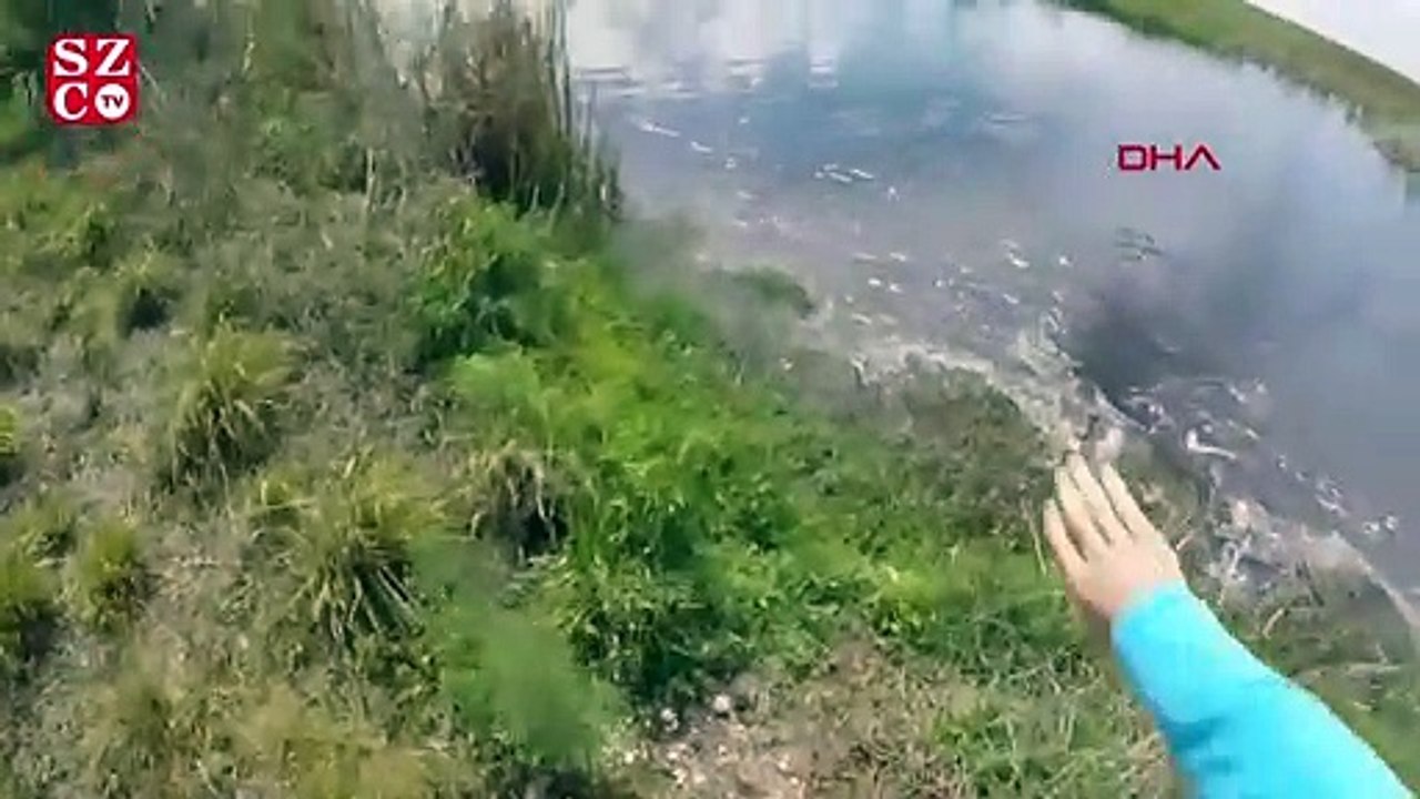 Avladığı balığı alırken az kalsın timsaha yem oluyordu
