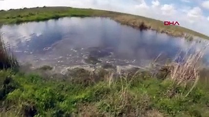 Avladığı balığı alırken az kalsın timsaha yem oluyordu