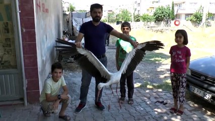 Mahalleli ayağı kopan leyleğin yardımına koştu