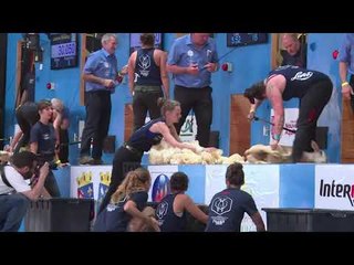 Kampionati i qethjes së deleve, në garë 320 persona nga 34 vende të botës