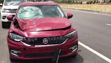 Otomobilin çarptığı yaya hayatını kaybetti - KONYA