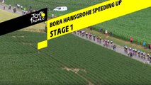 Bora Hansgrohe accélère / Bora Hansgrohe speeding up - Etape 1 / Stage 1 - Tour de France 2019