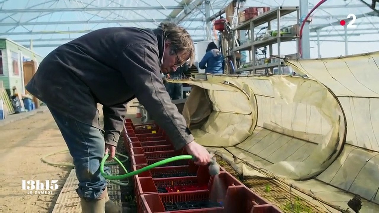 L'intégration de réfugiés en France avec les fermes agro-écologiques grosses demandeuses de main-d'œuvre
