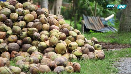 สารตั้งต้น - “เมือง” ขวางน้ำ (2/3)