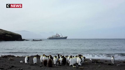 L'Unesco inscrit les Terres et mers australes françaises au patrimoine mondial