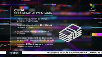 Cuba impulsa granjas avícolas y proyectos bovinos