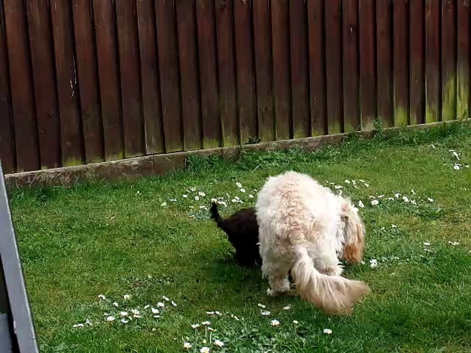Digging garden