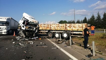 TEM Otoyolu'nda feci kaza: 1 ölü, 7 yaralı