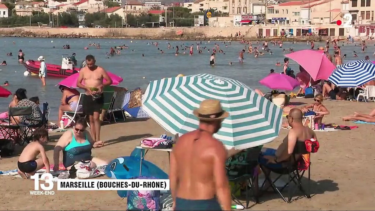 Environnement : la surchauffe de la Méditerranée, un phénomène potentiellement destructeur pour l'écosystème
