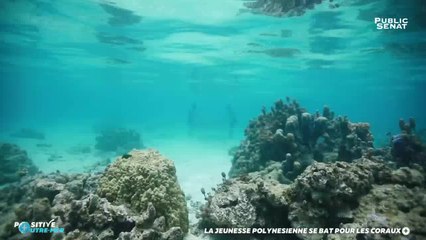 La jeunesse polynésienne se bat pour les coraux - Positive Outre-mer (04/07/2019)