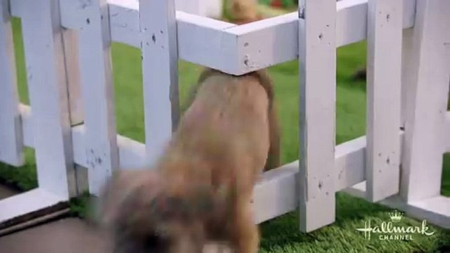 Love Unleashed - Hallmark Trailer