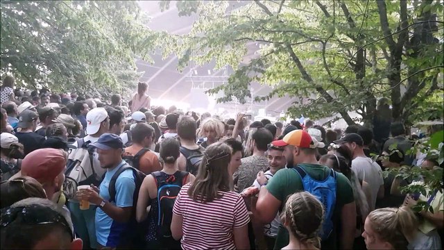 Eurockéennes 2019 Un mur de festivaliers pour voir Angèle