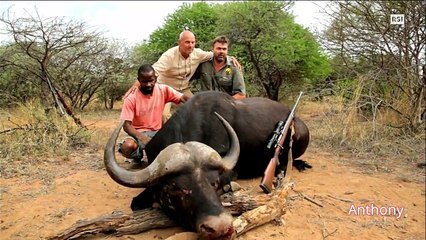 Caccia Grossa Nel Serraglio