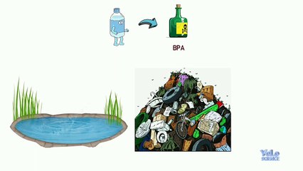 How Can We Solve Our Trash Problem?