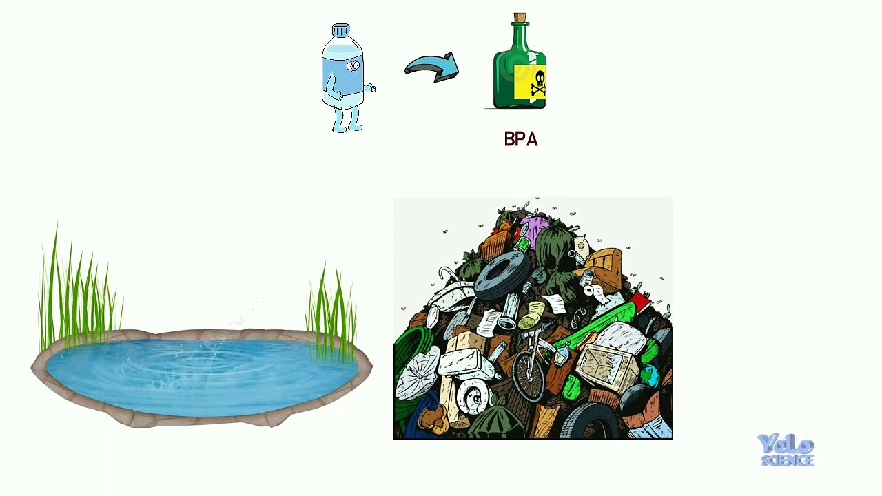 How Can We Solve Our Trash Problem?