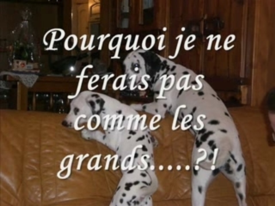 Rencontre avec Angie