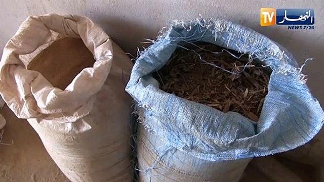 المسيلة تفكيك ورشة سرية لصنع الشمة التقليدية بالمعاريف