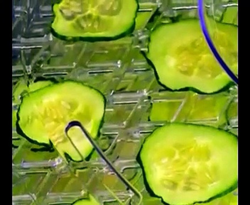 31 FOOD TRICKS THAT WILL MAKE YOUR LIFE BETTER