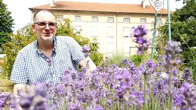 75 jeunes symphonistes de Moselle réunis à Sarrebourg