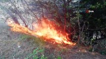 Sorumsuz piknikçiler ormanlık alanda yangın çıkarttı